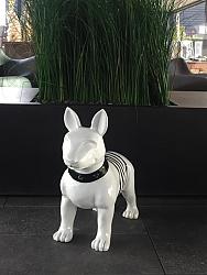 Beeld - Bulldog zwart/wit 50cm