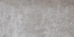 Plant 30x60x0,9 Ash R