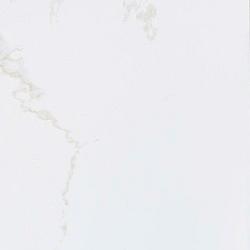 Persia 59,6x59,6x1,1 Glossy