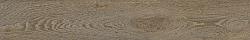 Maison 20x120 Colorado Nut