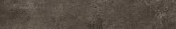 Plant 25x150x0,9 Iron R