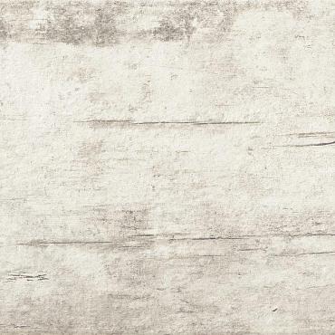 Plant 30x60x0,9 Powder R