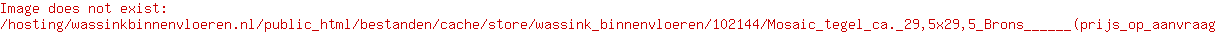 Mosaic tegel ca. 29,5x29,5 Brons      (prijs op aanvraag)