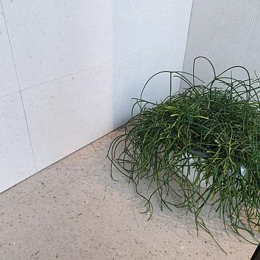 Maison Arkama ca. 60x60 Sand