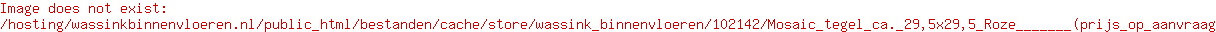 Mosaic tegel ca. 29,5x29,5 Roze       (prijs op aanvraag)