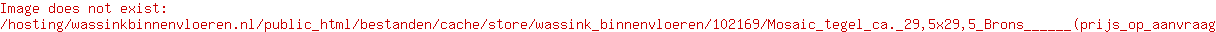 Mosaic tegel ca. 29,5x29,5 Brons      (prijs op aanvraag)