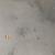 Serena Orient 60x60x1,5 Basalt gezoet
