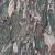 Wanderlust 120x278x0,6 Four Seasons Lucido