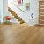 Van Gogh 22,5x142x0,65 Golden Brushed Oak