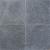 Vietnamees Anticato Wildverband Gothic