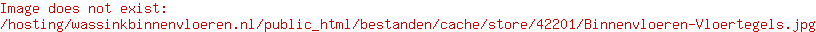 Binnenvloeren Vloertegels