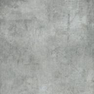 Plant 25x150x0,9 Ash R