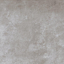 Plant 30x60x0,9 Ash R