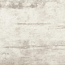 Plant 30x60x0,9 Powder R