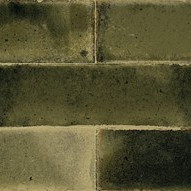 Jazba 6x24,6x0,8 Olive Brillo