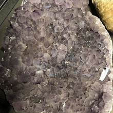 Bijzonder - Purple