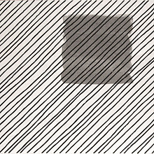 Miss marble 15x15x1,05 white pattern theo satin