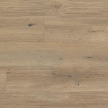 Korlok 22,5x142x0,65 Canadian Urban Oak