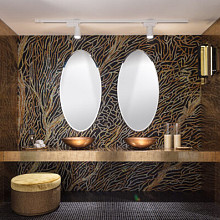 Badkamer Waskommen