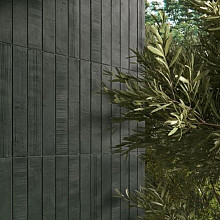 Kore 5x30 Forest